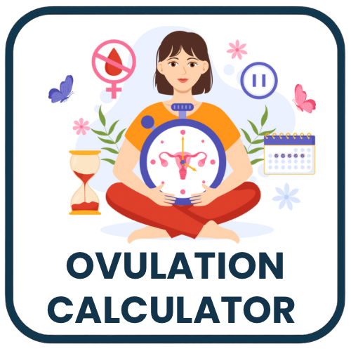 Ovulation Calculator